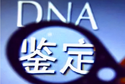 徐州DNA检验鉴定中心哪里做，徐州血缘检测收费多少钱