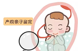 徐州刚怀孕如何检测宝宝是谁的，徐州孕期亲子鉴定大概多少费用