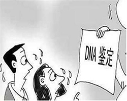 徐州上户亲子鉴定要如何办理呢