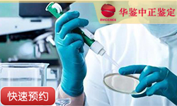 徐州同一父系亲缘鉴定